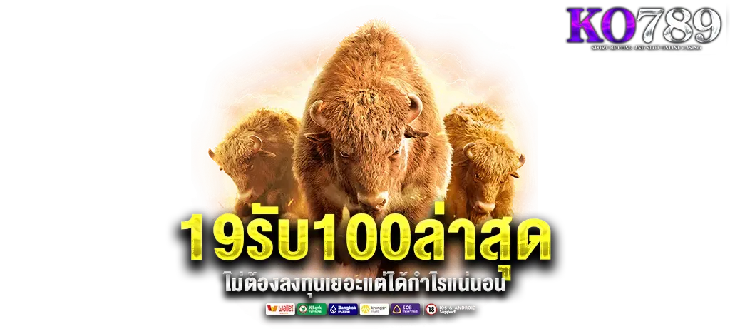 โปรโมชั่น 19รับ100